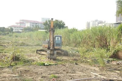 曹溪片区攻坚克难 浮蔡棚改项目集中清表助力土地高效整理