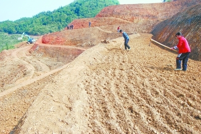 党建引领房地产开发 斩断穷根开富路