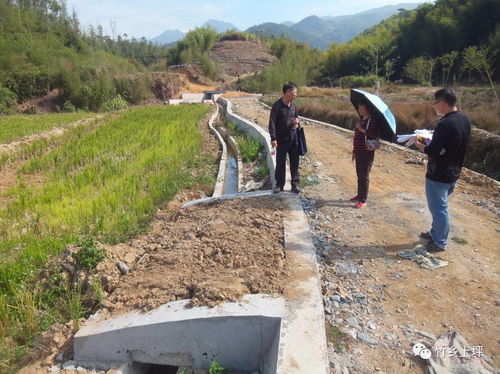 上坪乡 土地整“活”，房产“开”新局——扎实推进土地整理与房地产开发协同发展