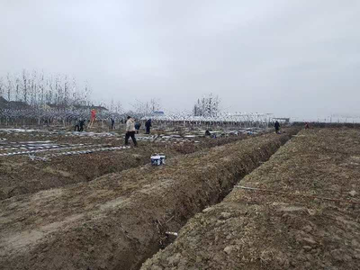 平整土地迎春耕 共创'姜'来好'钱'景 房地产开发