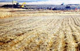 土地整理的新篇章 新增耕地的关键路径与价值